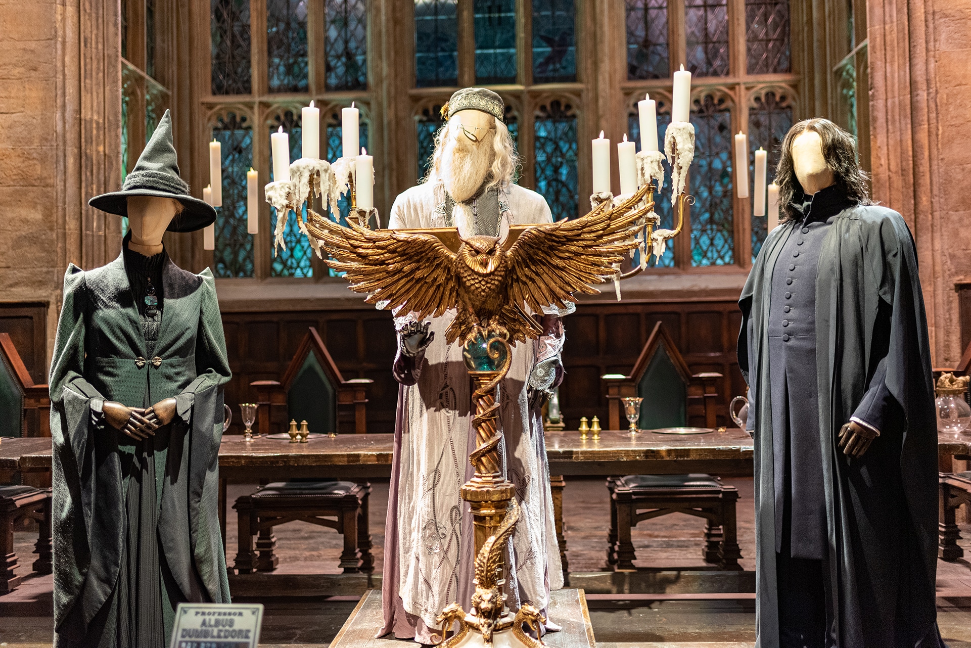 Harry Potter Spot the Difference